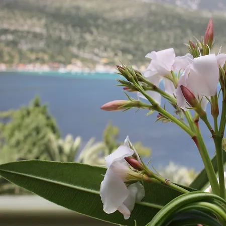 Cleopatra Apart Otel