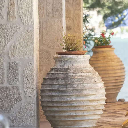 Apartahotel Cleopatra